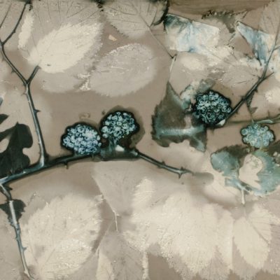 Branche de mûrier #42, 2014