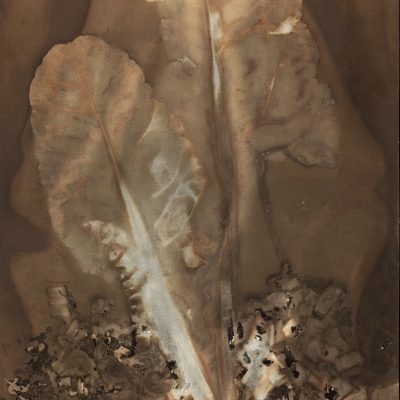 Bettes à carde #64, 2014