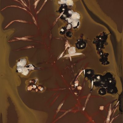Argousier #98, 2014